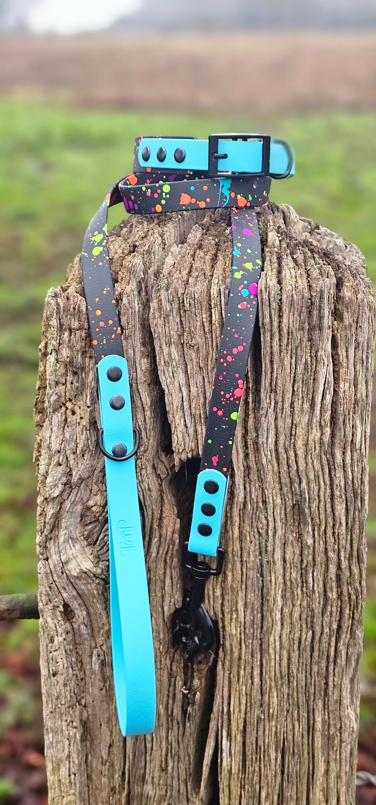 Neon Splatter Collection Bundle - 24-piece waterproof BioThane® Collar & Lead Bundle