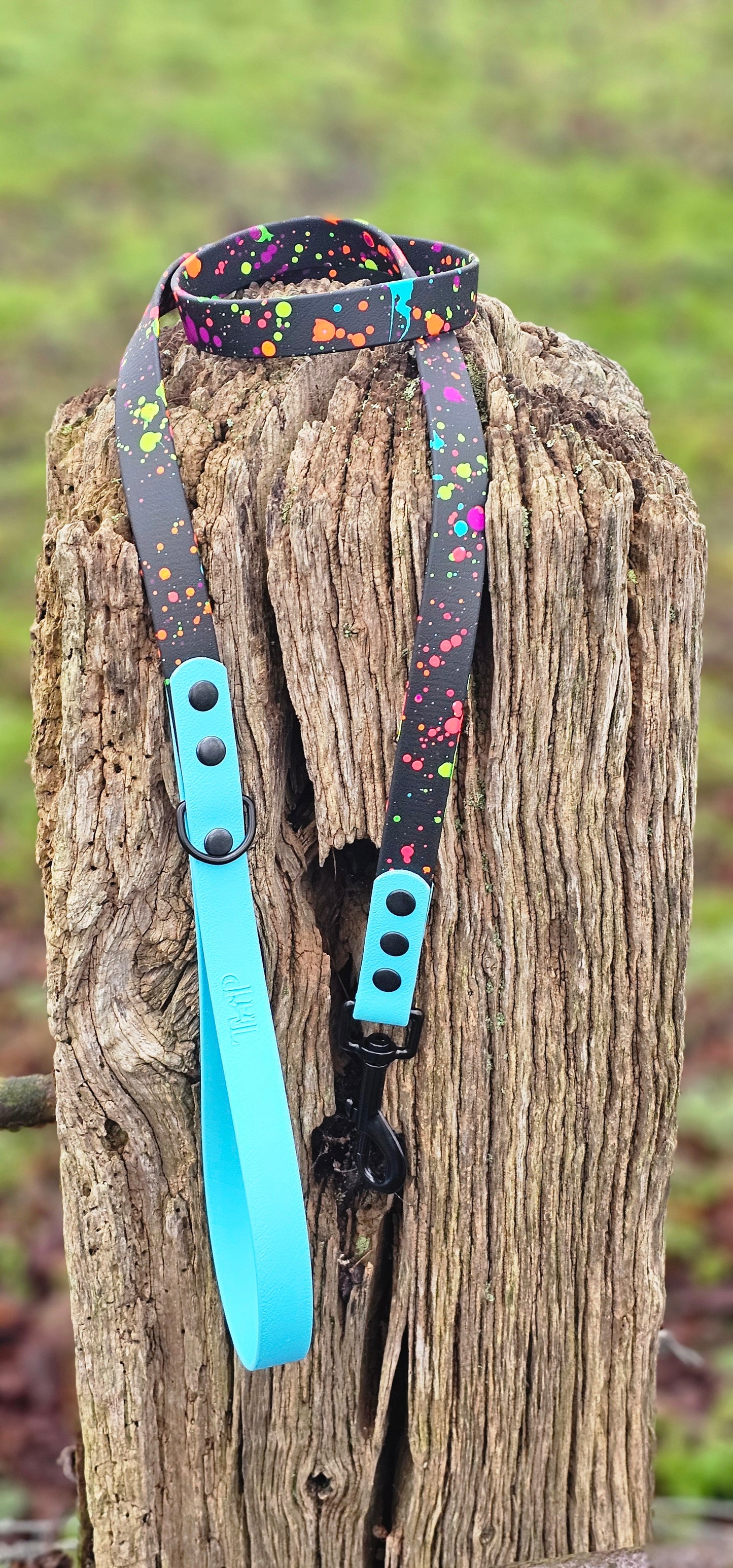 Neon Splatter Collection Neon Blue -  BioThane waterproof Splatter Dog Collar & Lead
