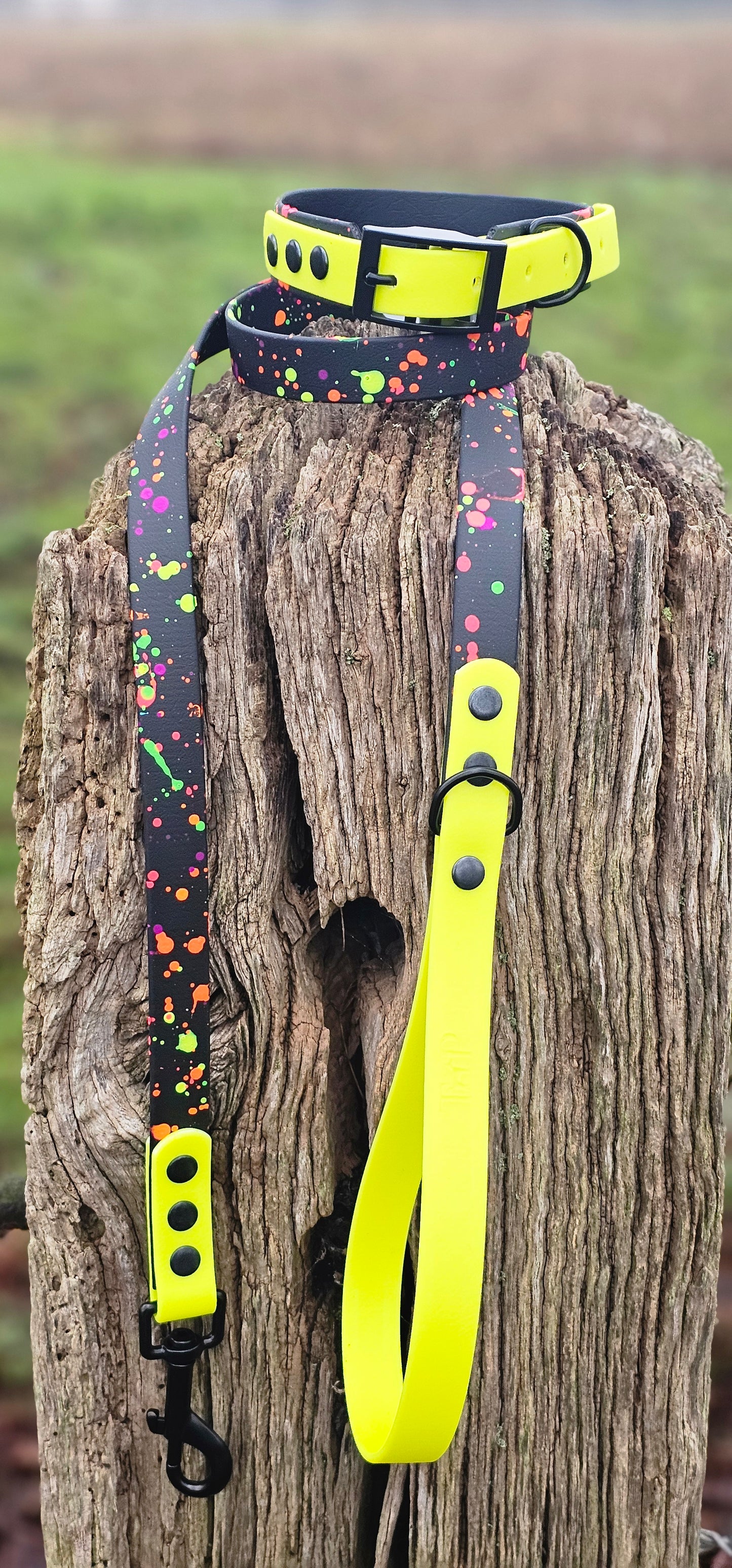 Neon Splatter Collection Neon Yellow -  BioThane waterproof Splatter Dog Collar & Lead