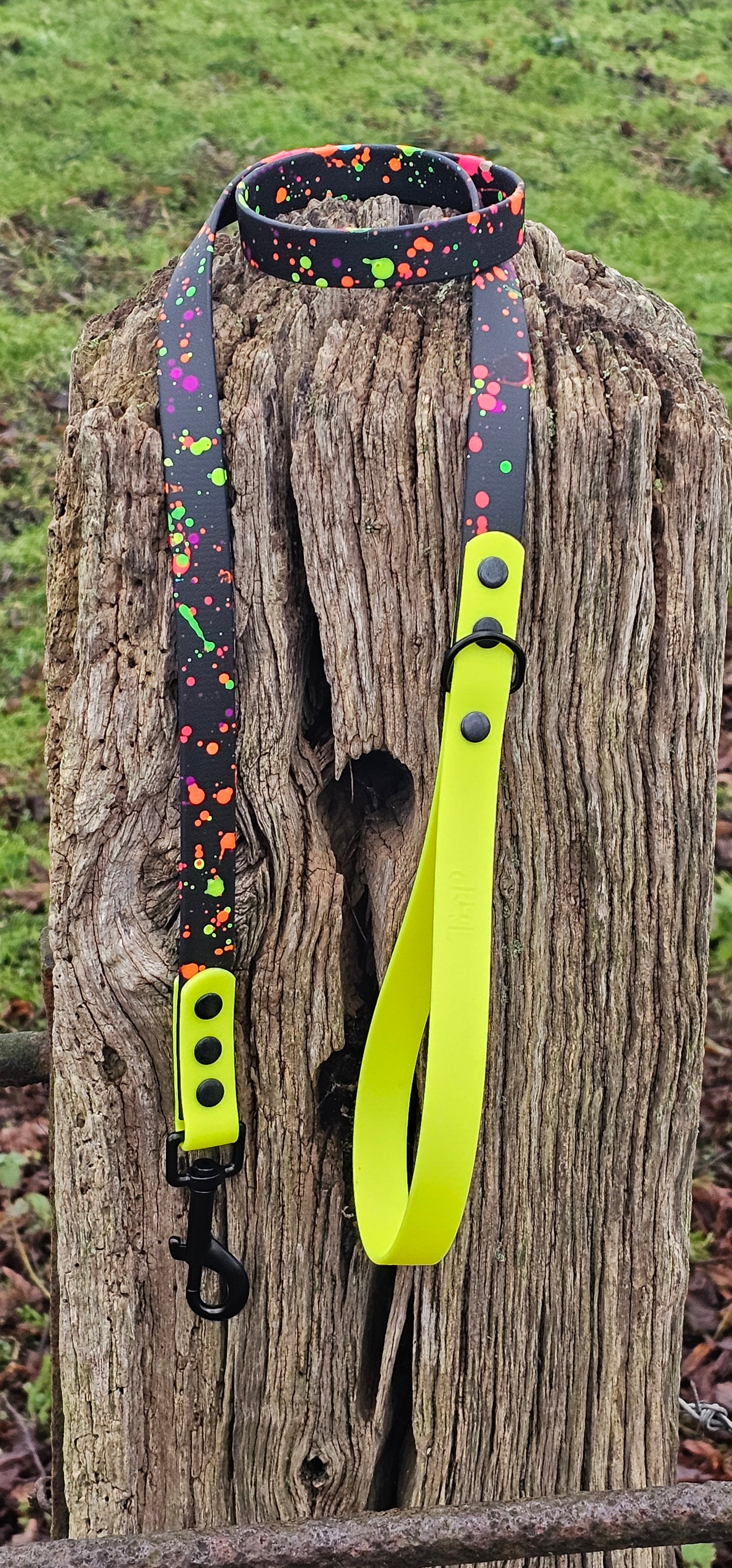 Neon Splatter Collection Neon Yellow -  BioThane waterproof Splatter Dog Collar & Lead