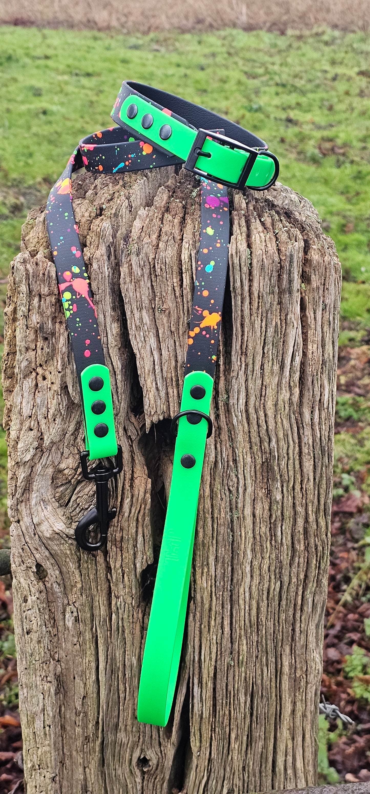 Neon Splatter Collection Bundle - 24-piece waterproof BioThane® Collar & Lead Bundle