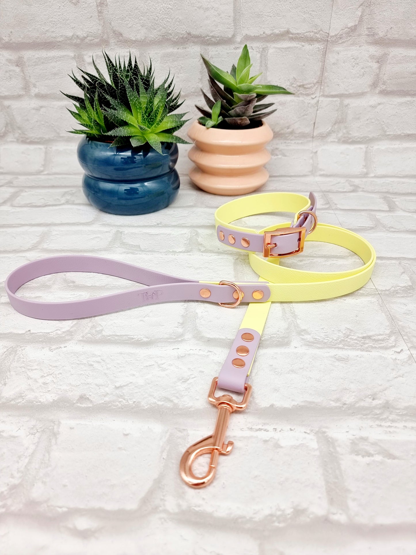Lemon & Lilac - Waterproof Biothane® two-coloured Dog Lead