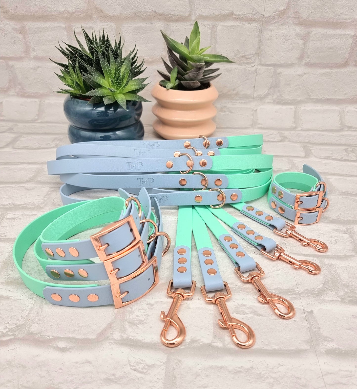 SEAFOAM / PASTEL BLUE - Waterproof BioThane© 2-coloured Dog Collar/Lead/Bundle