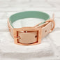 JfP - SAGE / POWDER PEARL - Waterproof BioThane© 2-coloured Dog Collar & Lead