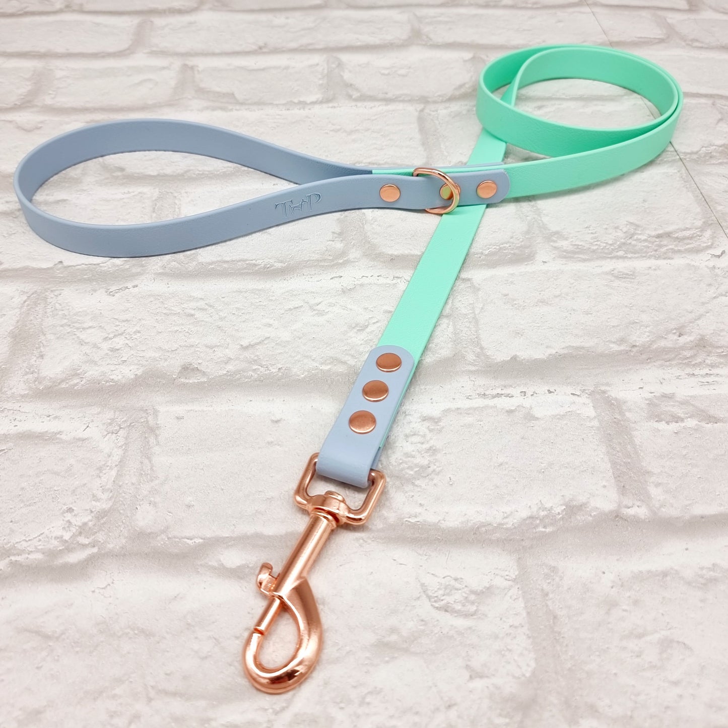 Mint & Baby Blue - Waterproof Biothane® two-coloured Dog Lead