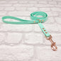 SEAFOAM - Waterproof BioThane© Dog Collar / Dog Lead