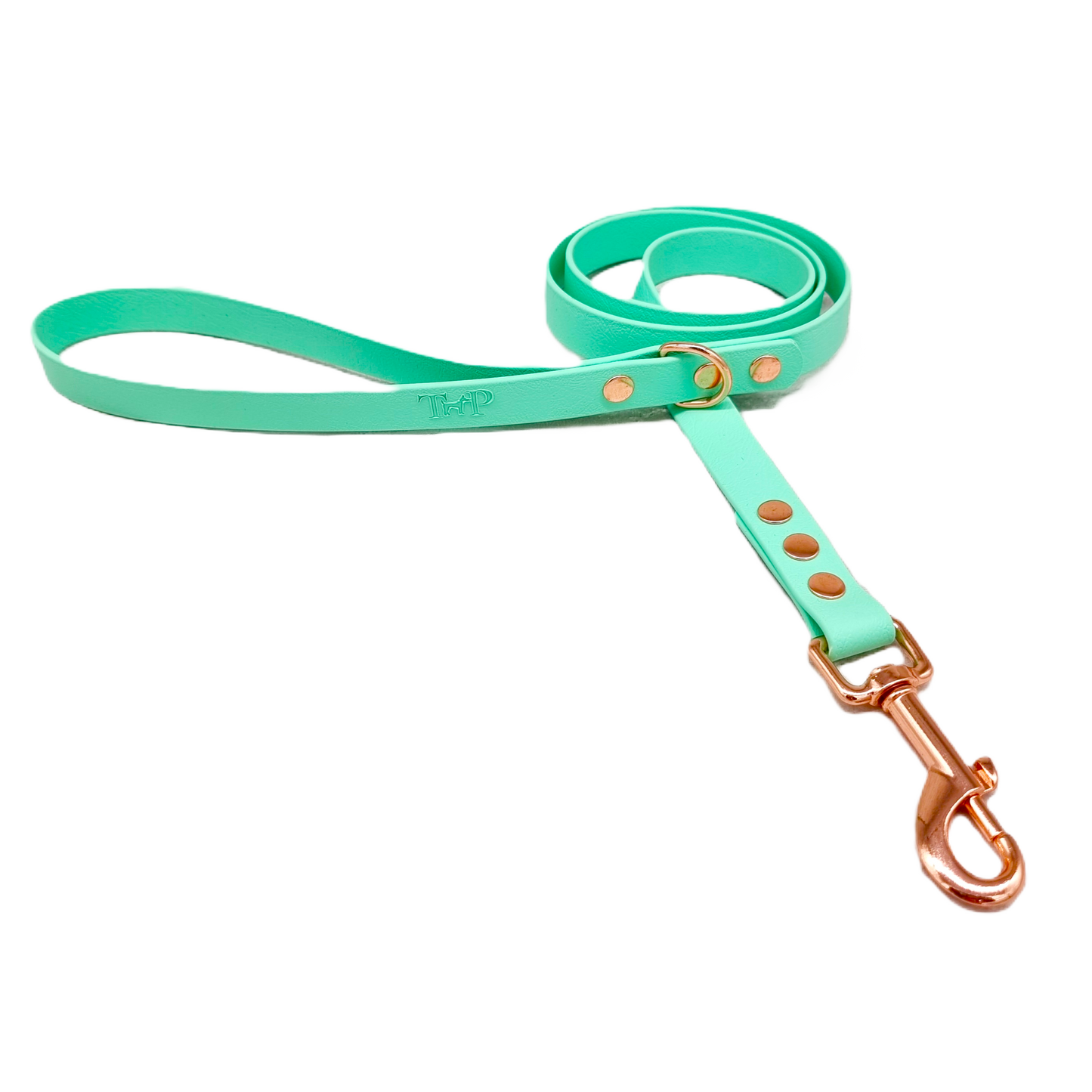Mint Waterproof BioThane© Dog Lead