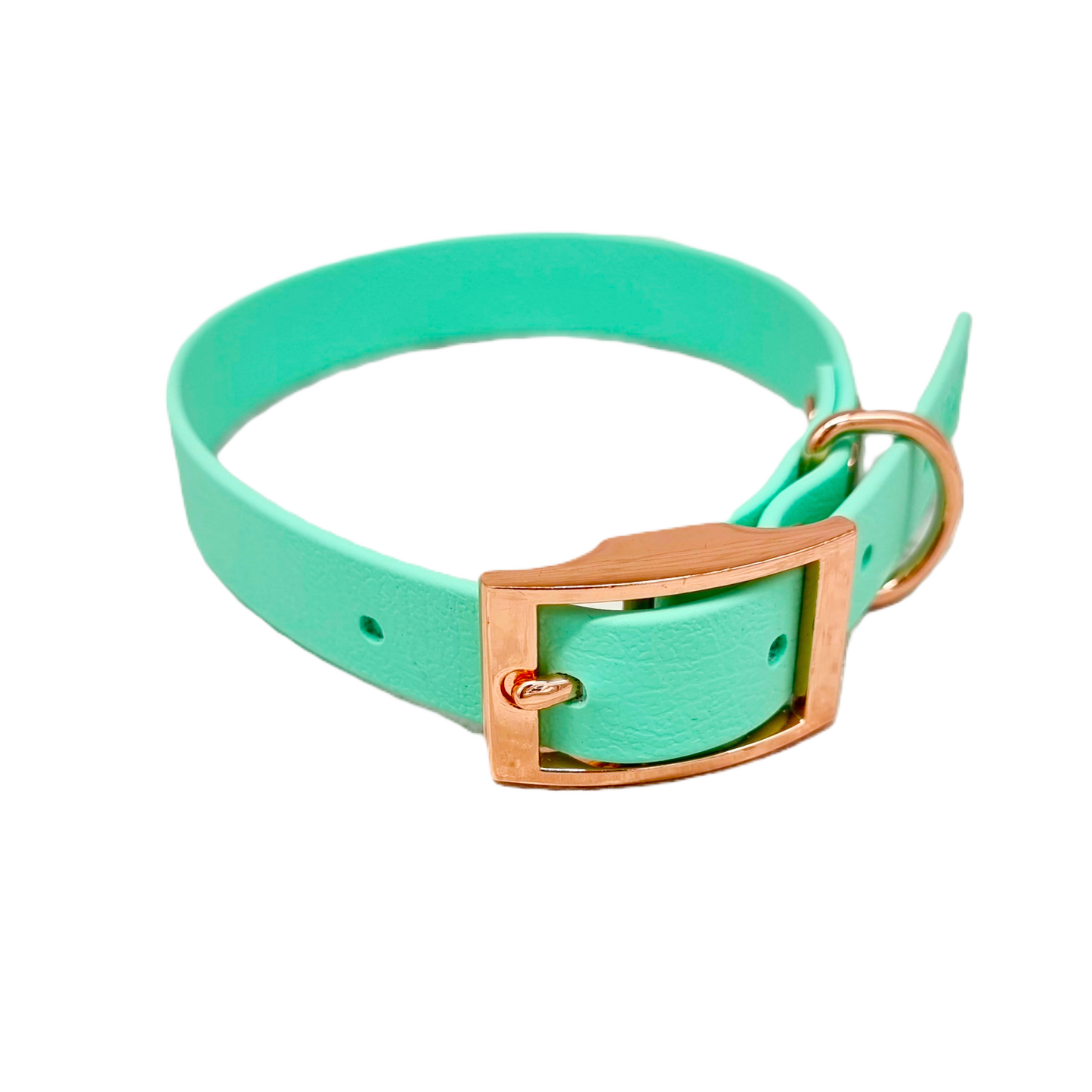 Mint Waterproof BioThane© Dog Collar
