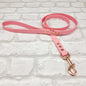 PAF - Waterproof BioThane© Dog Leads (various colours)