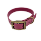 JfP PAF - BURGUNDY - Waterproof BioThane© Dog Collar and Lead