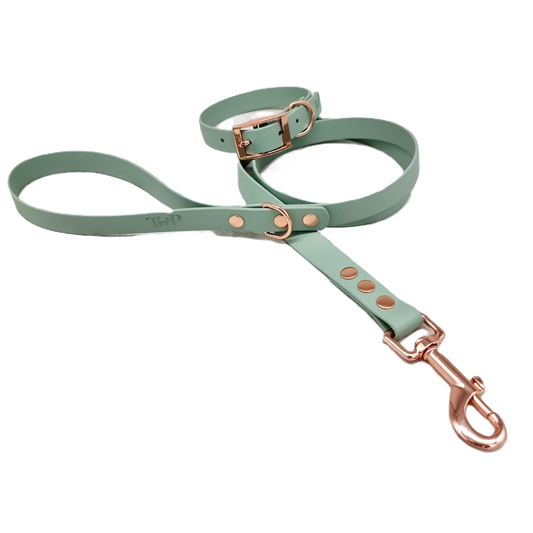 JFP PAF - SAGE Waterproof BioThane© Dog Collar and Lead