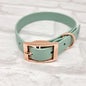 SAGE - Waterproof BioThane© Dog Collar / Dog Lead