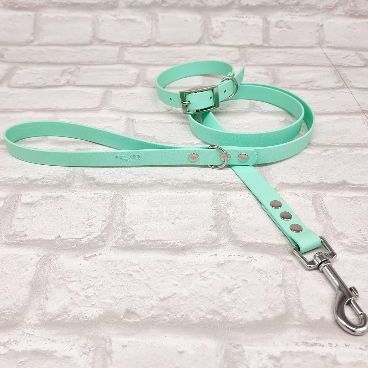 Mint - Classic Waterproof BioThane© Dog Lead
