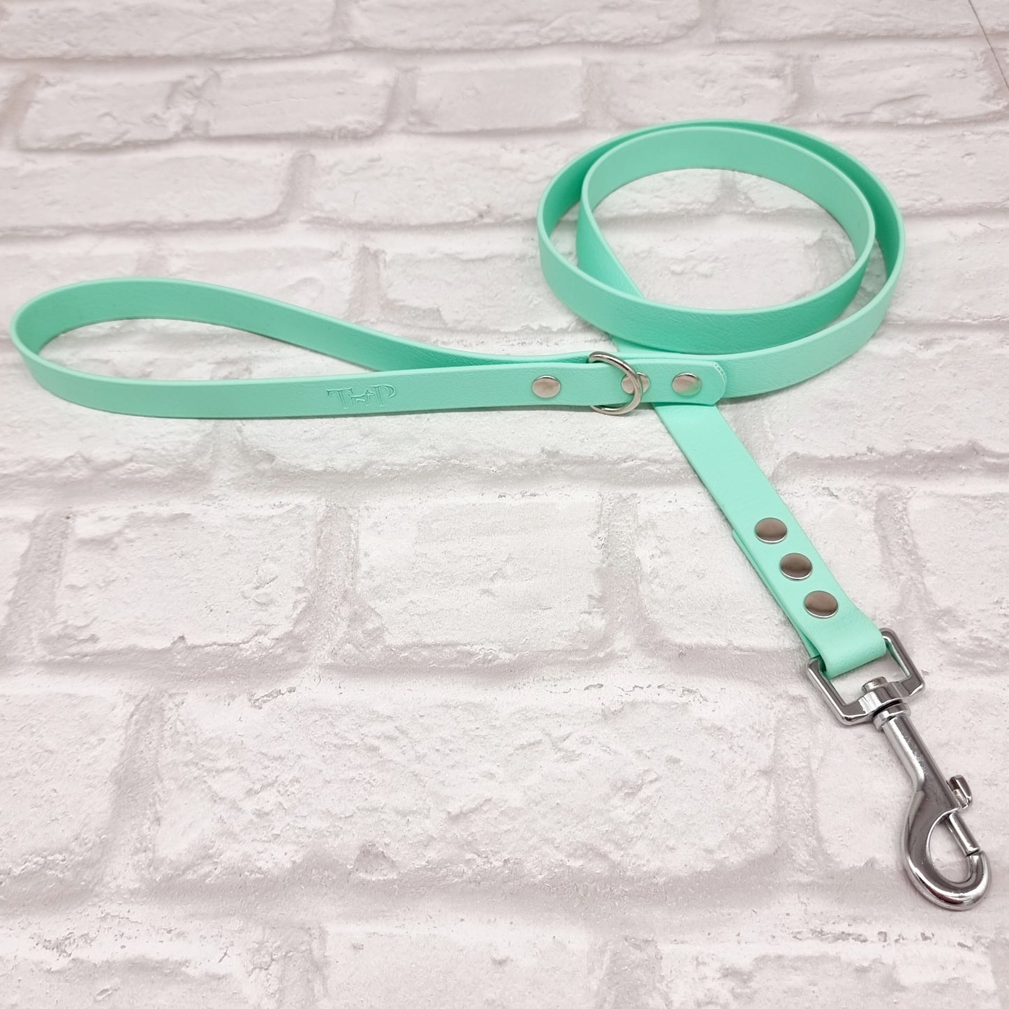 Mint Waterproof BioThane© Dog Lead