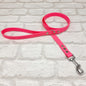NEON PINK - Waterproof BioThane© Dog Collar/ Dog Lead