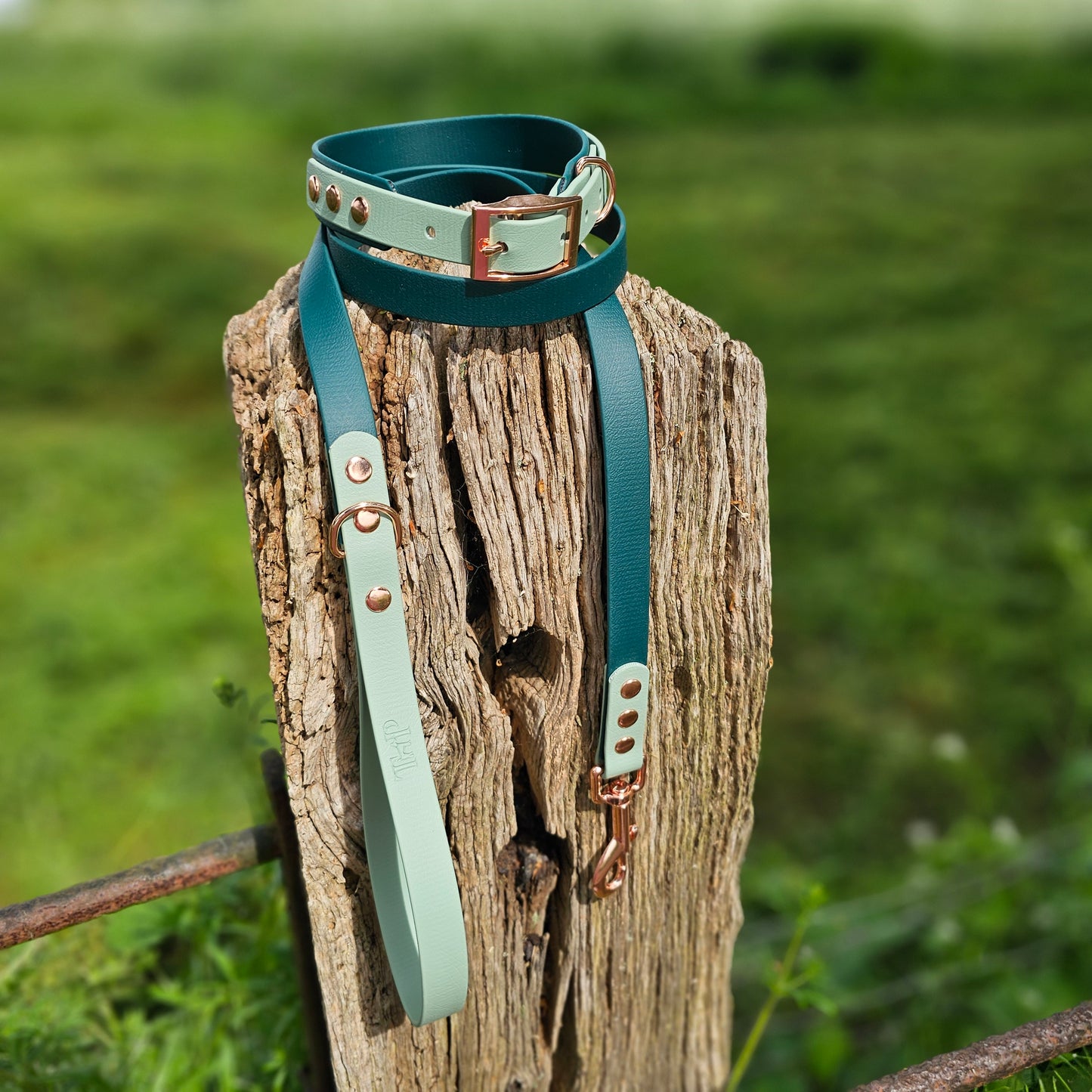Dark Green & Sage - Waterproof Biothane® two-coloured Dog Lead