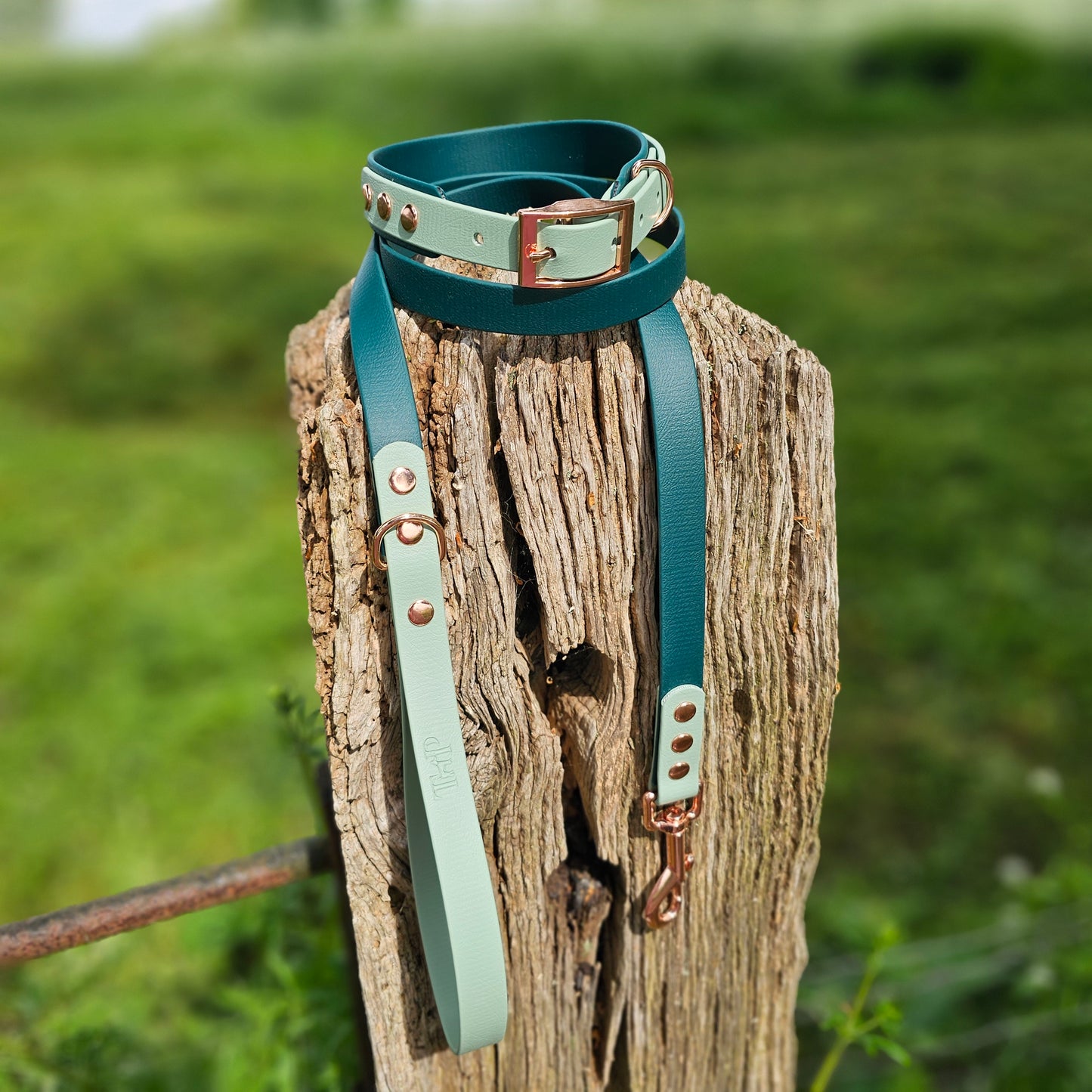 Dark Green & Sage - Waterproof BioThane© two-coloured Dog Collar