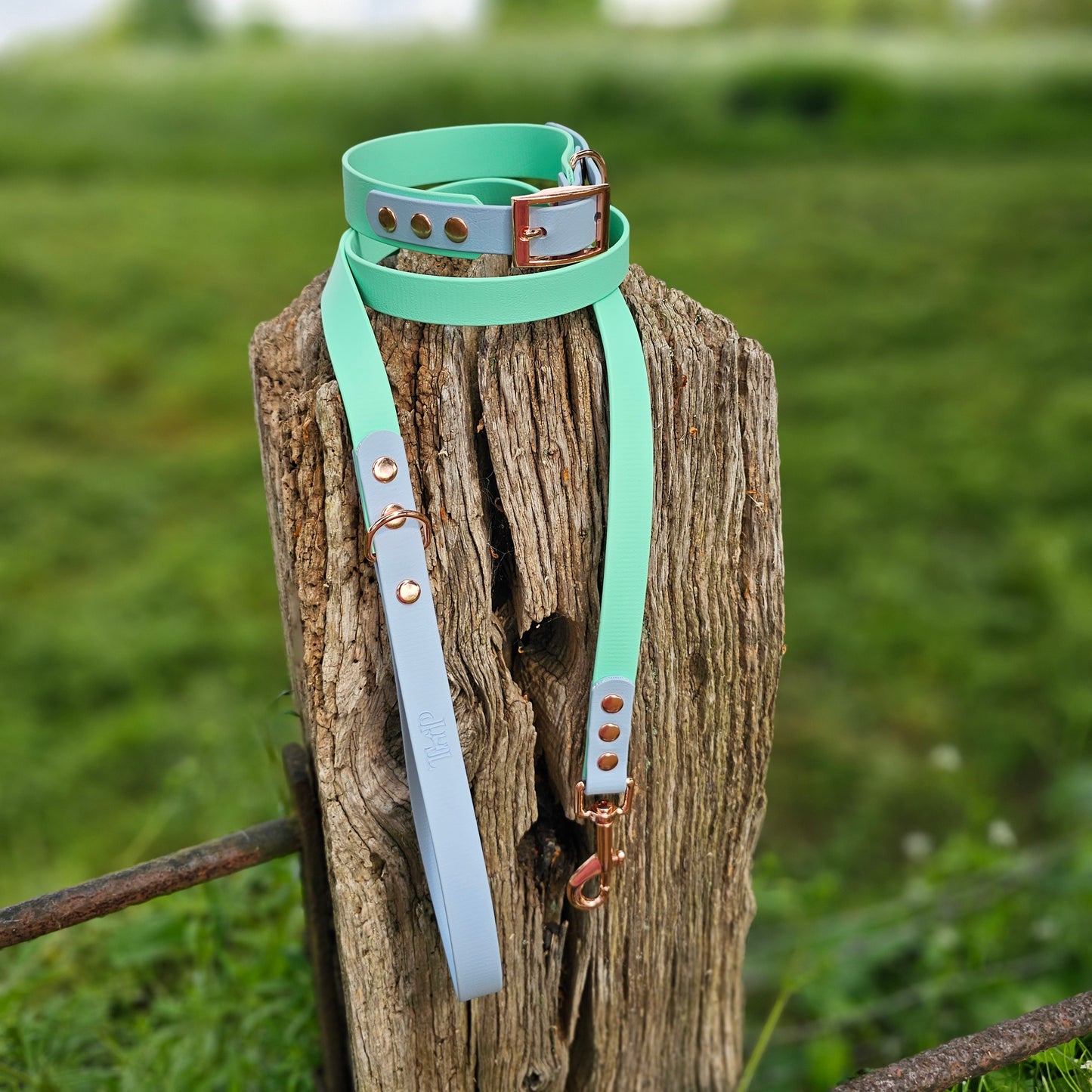 Mint & Baby Blue - Waterproof Biothane® two-coloured Dog Lead