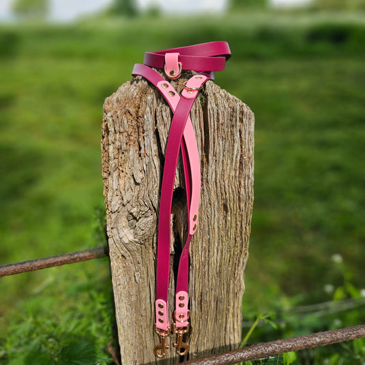 Burgundy & Baby Pink - Waterproof Biothane® Handsfree Dog Training Lead / Multiway Dog Lead