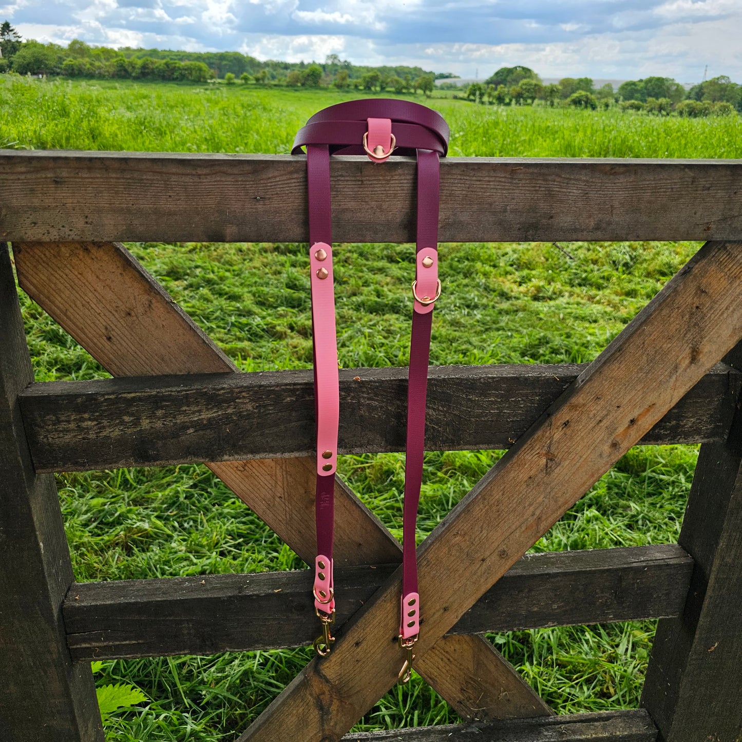 Burgundy & Baby Pink - Waterproof Biothane® Handsfree Dog Training Lead / Multiway Dog Lead