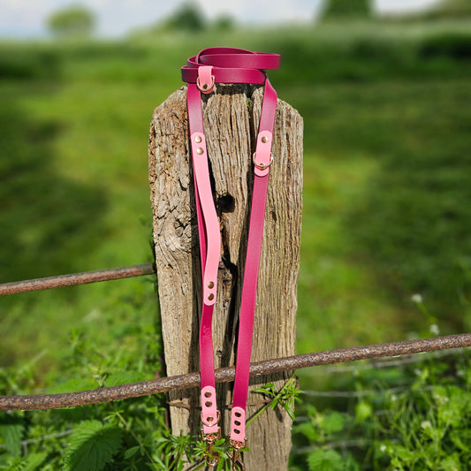 Burgundy & Baby Pink - BioThane® waterproof Handsfree Dog Training Lead / Multiway Dog Lead