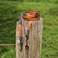 Light Brown / Navy - BioThane® waterproof Handsfree Dog Training Lead / Multiway Dog Lead