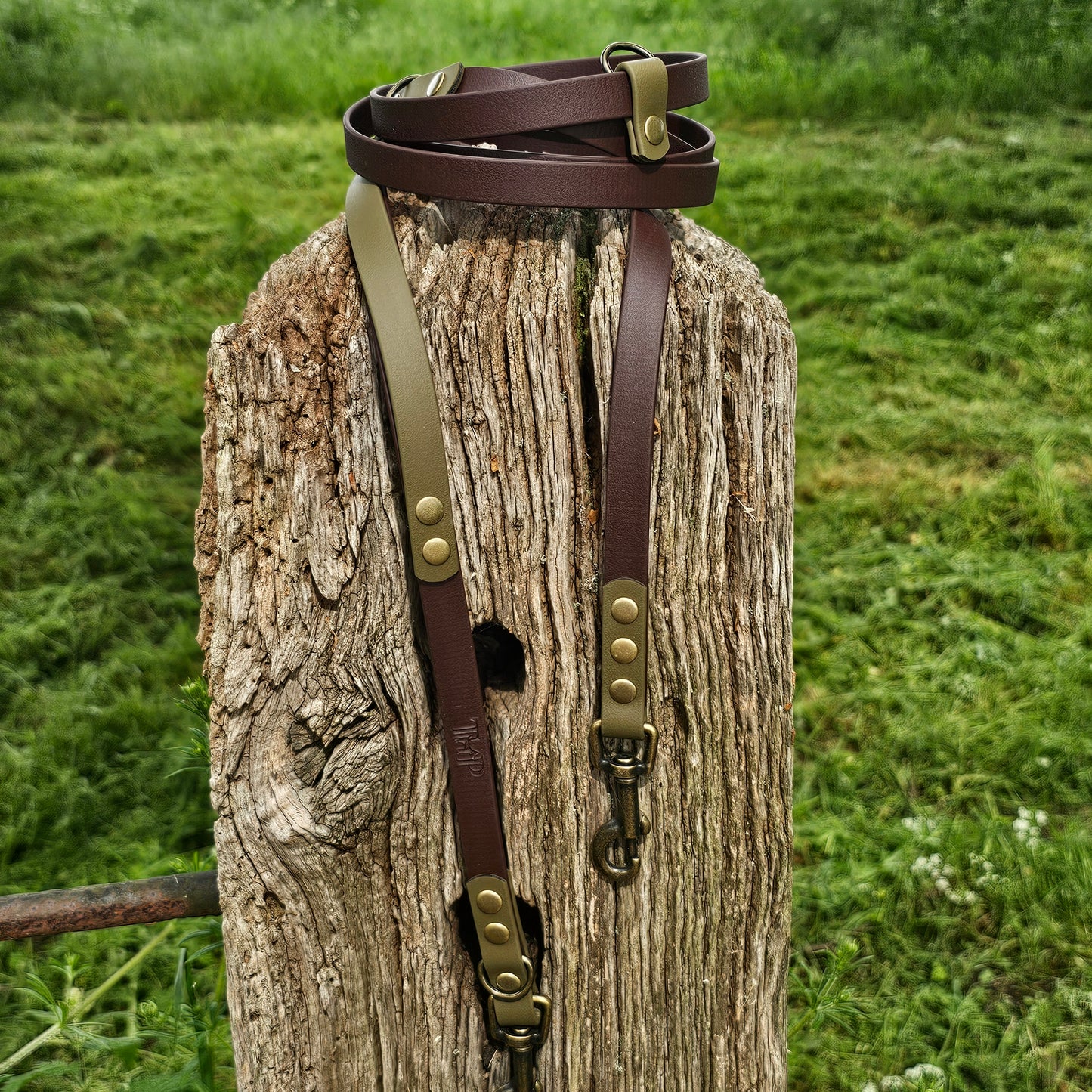 Dark Brown & Olive - Waterproof Biothane® Handsfree Dog Training Lead / Multiway Dog Lead