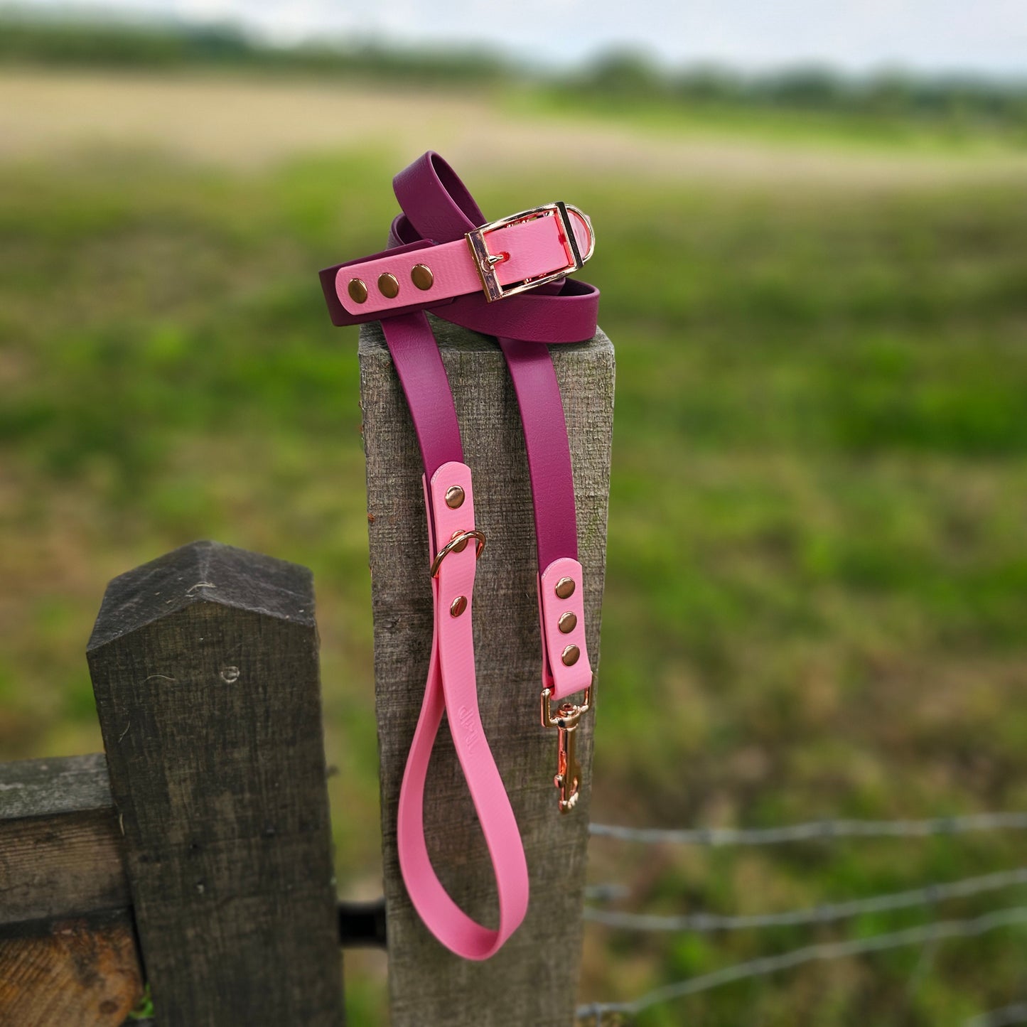 Burgundy & Baby Pink - Waterproof BioThane© two-coloured Dog Collar