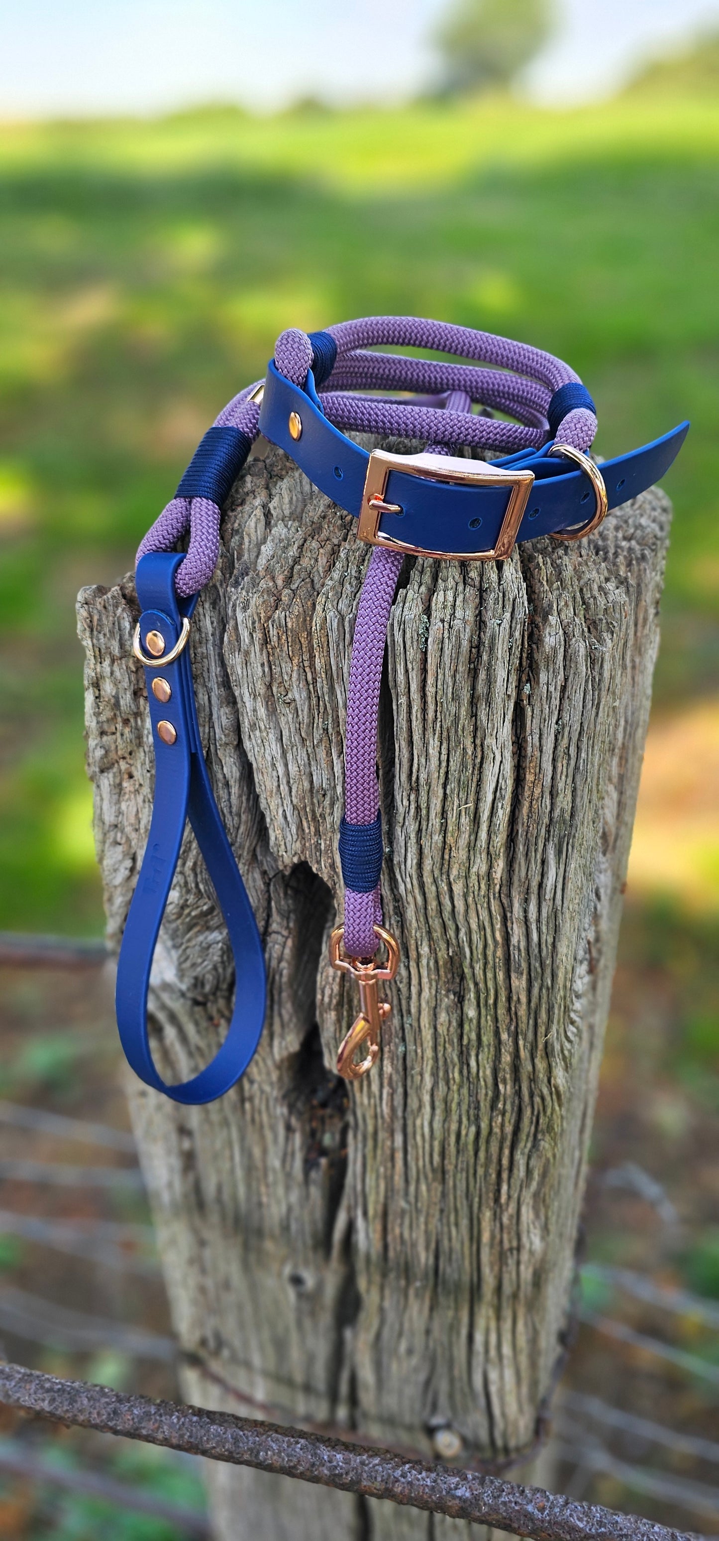 DESIGN YOUR OWN - Classic Rope Collar & Lead Bundle