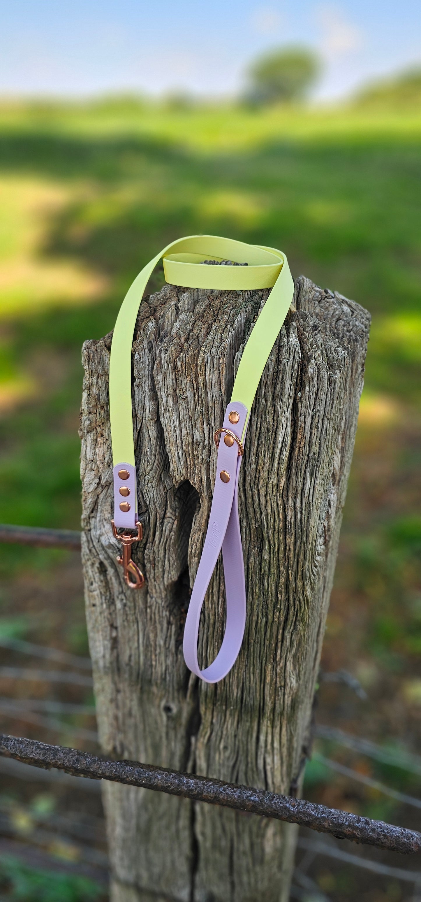 Lemon & Lilac - Waterproof Biothane® two-coloured Dog Lead