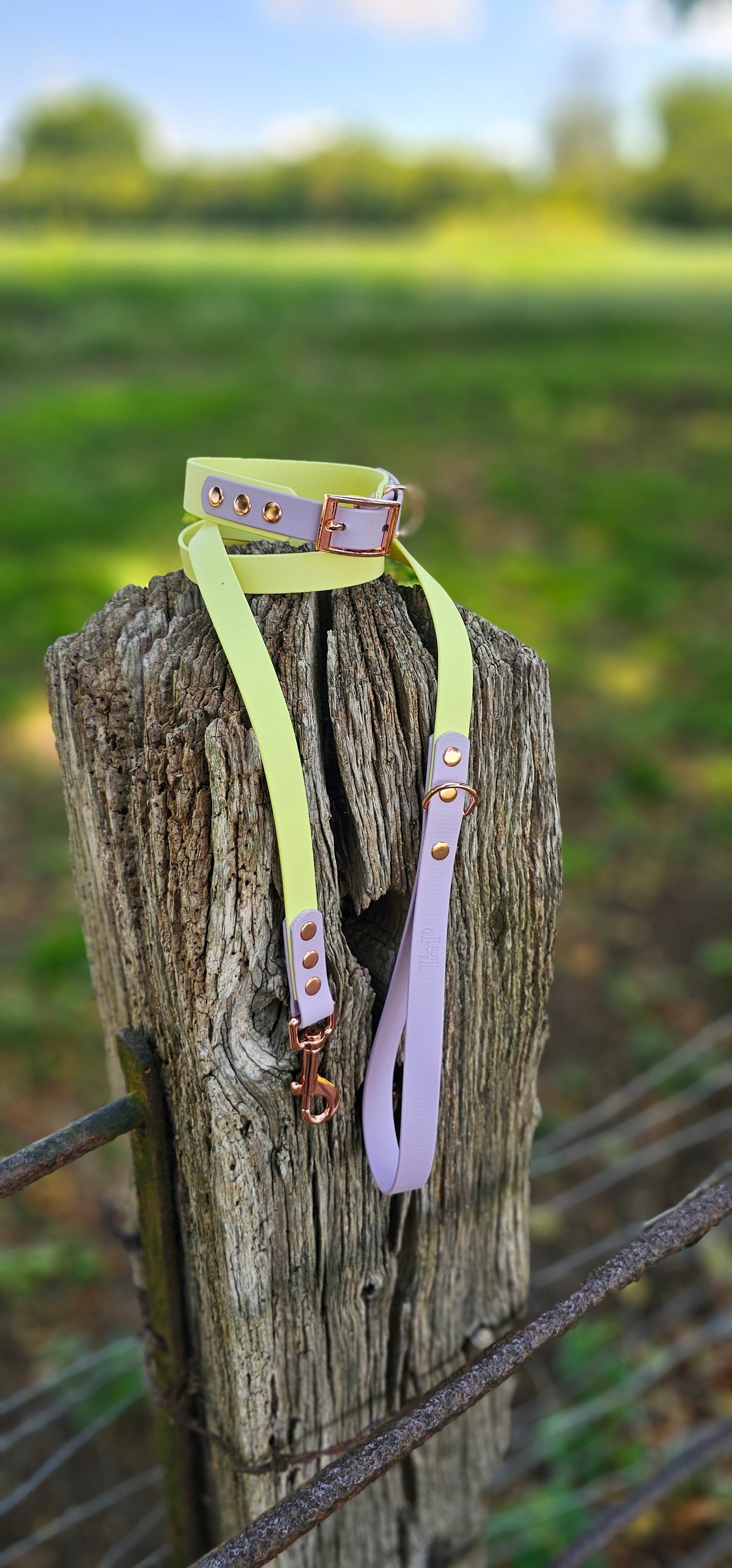 Lemon & Lilac - Waterproof Biothane® two-coloured Dog Lead