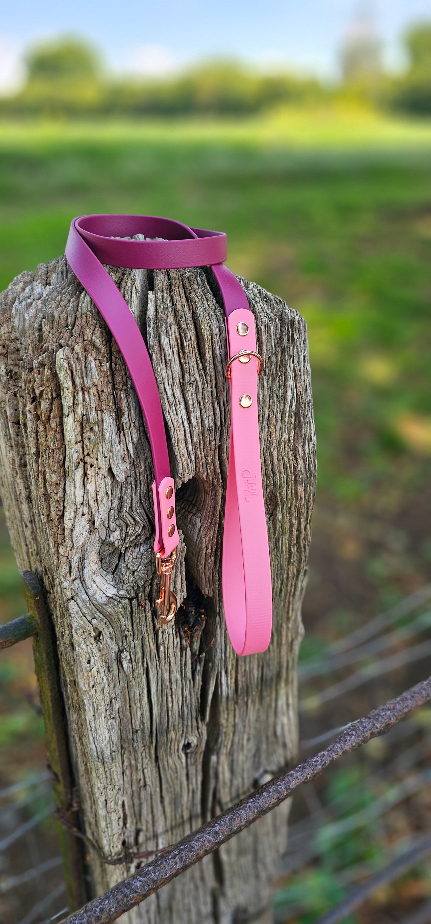 Burgundy & Baby Pink - Waterproof Biothane® two-coloured Dog Lead