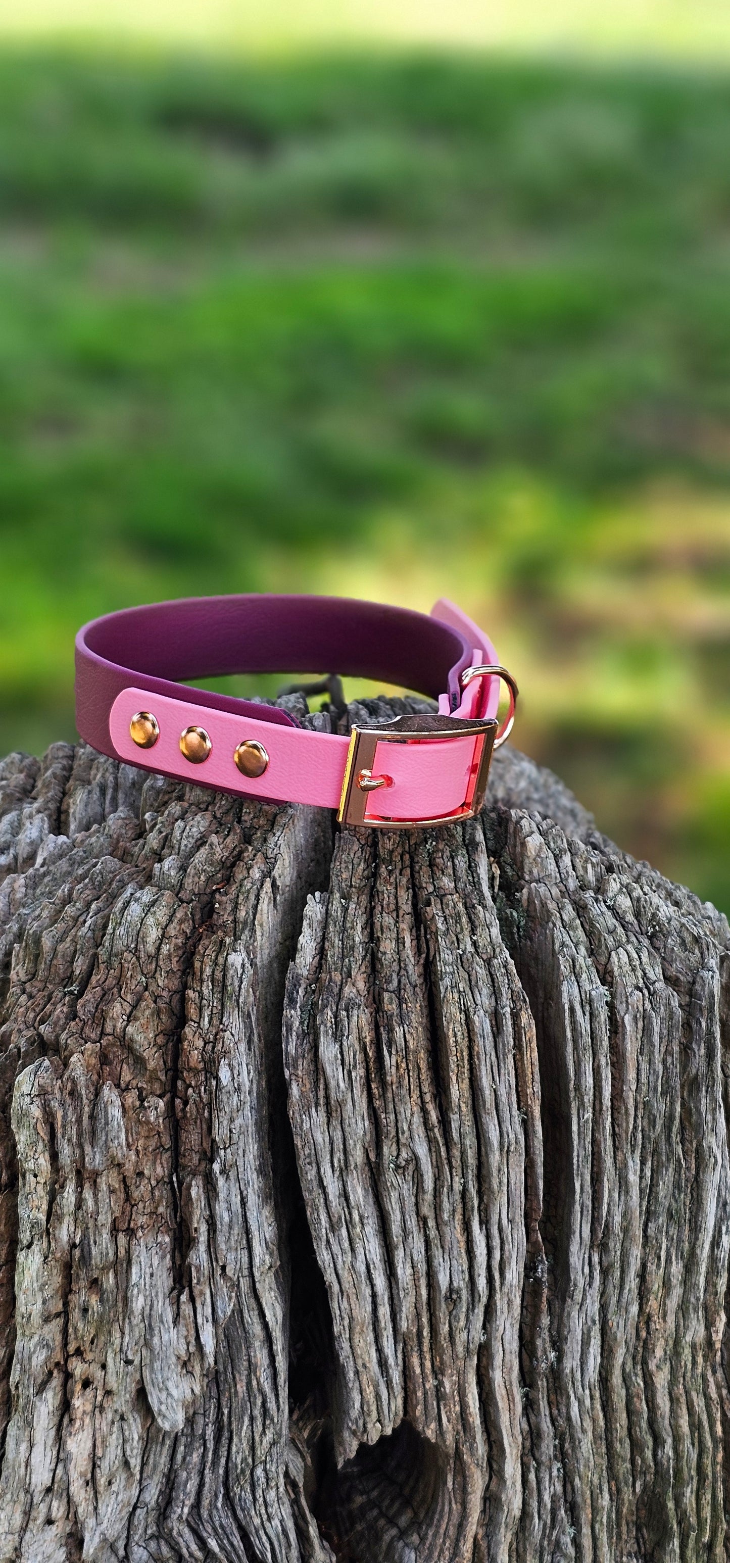 Burgundy & Baby Pink - Waterproof BioThane© two-coloured Dog Collar