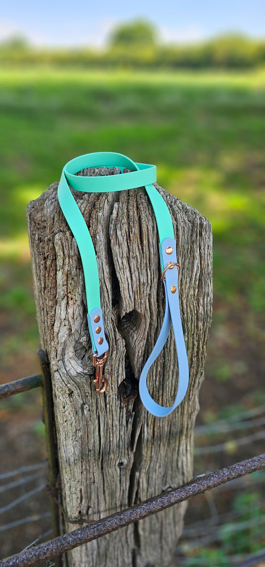 Mint & Baby Blue - Waterproof Biothane® two-coloured Dog Lead