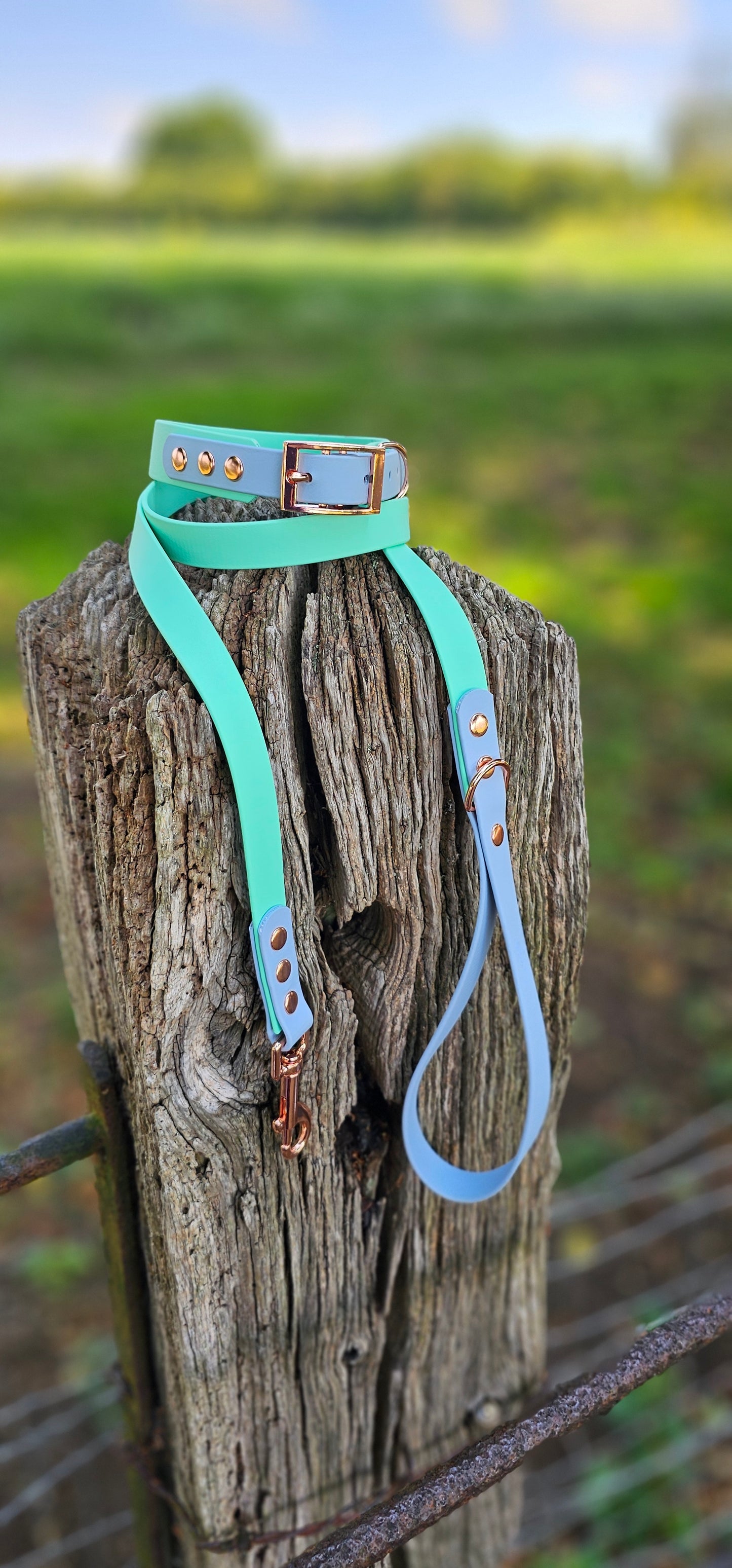 SEAFOAM / PASTEL BLUE - Waterproof BioThane© 2-coloured Dog Collar/Lead/Bundle