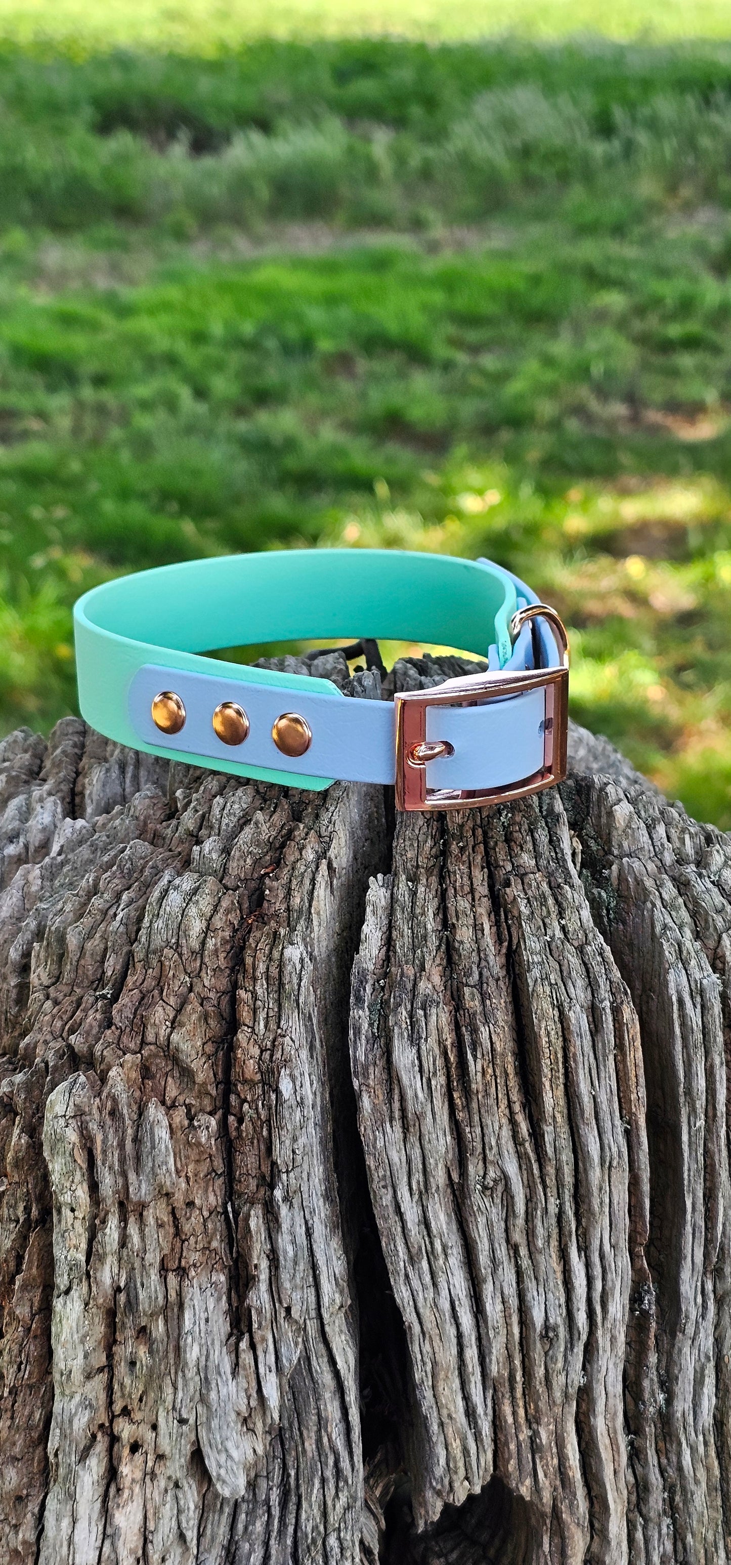 SEAFOAM / PASTEL BLUE - Waterproof BioThane© 2-coloured Dog Collar/Lead/Bundle