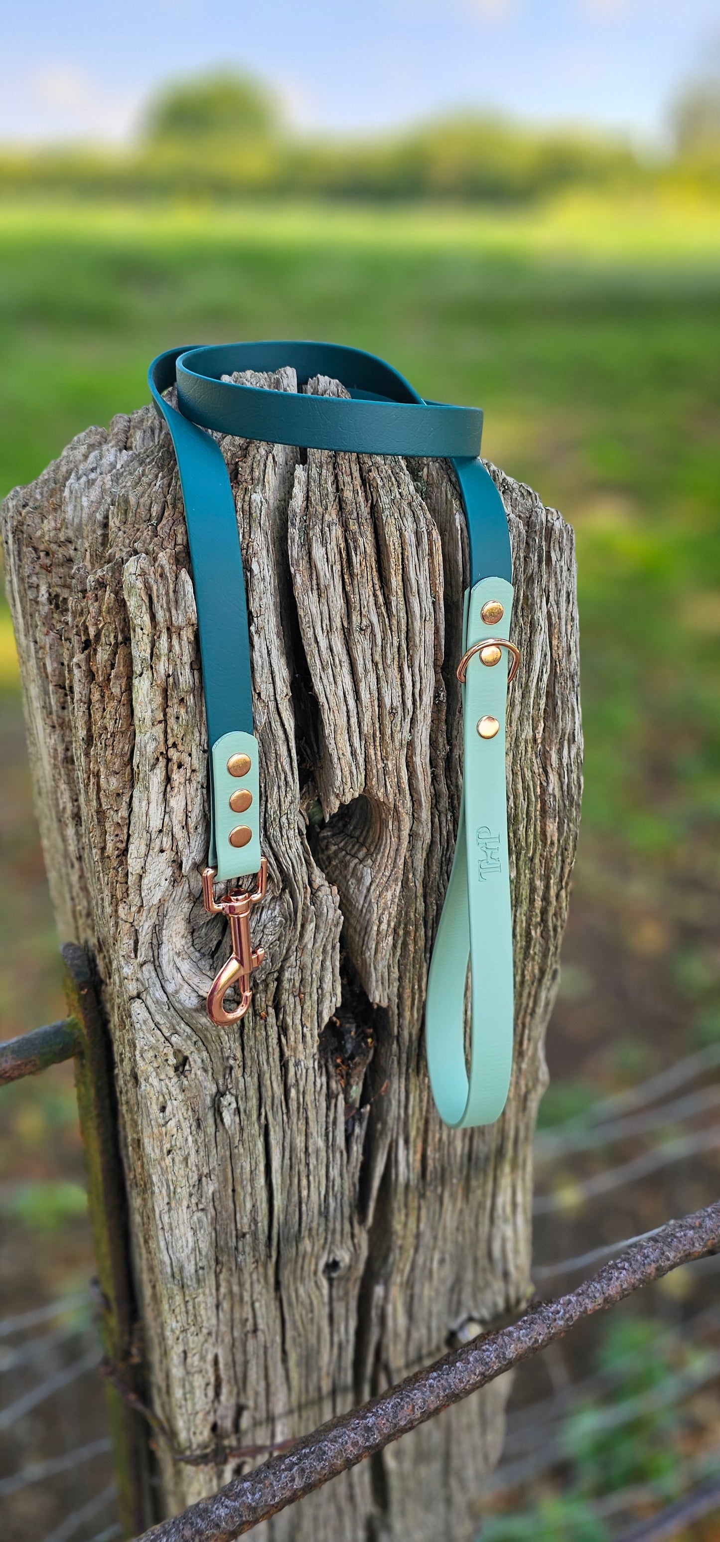 Dark Green & Sage - Waterproof Biothane® two-coloured Dog Lead