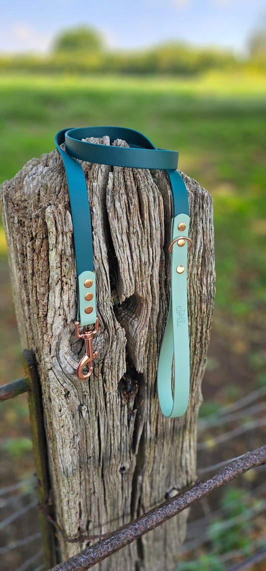 Dark Green & Sage - Waterproof Biothane® two-coloured Dog Lead