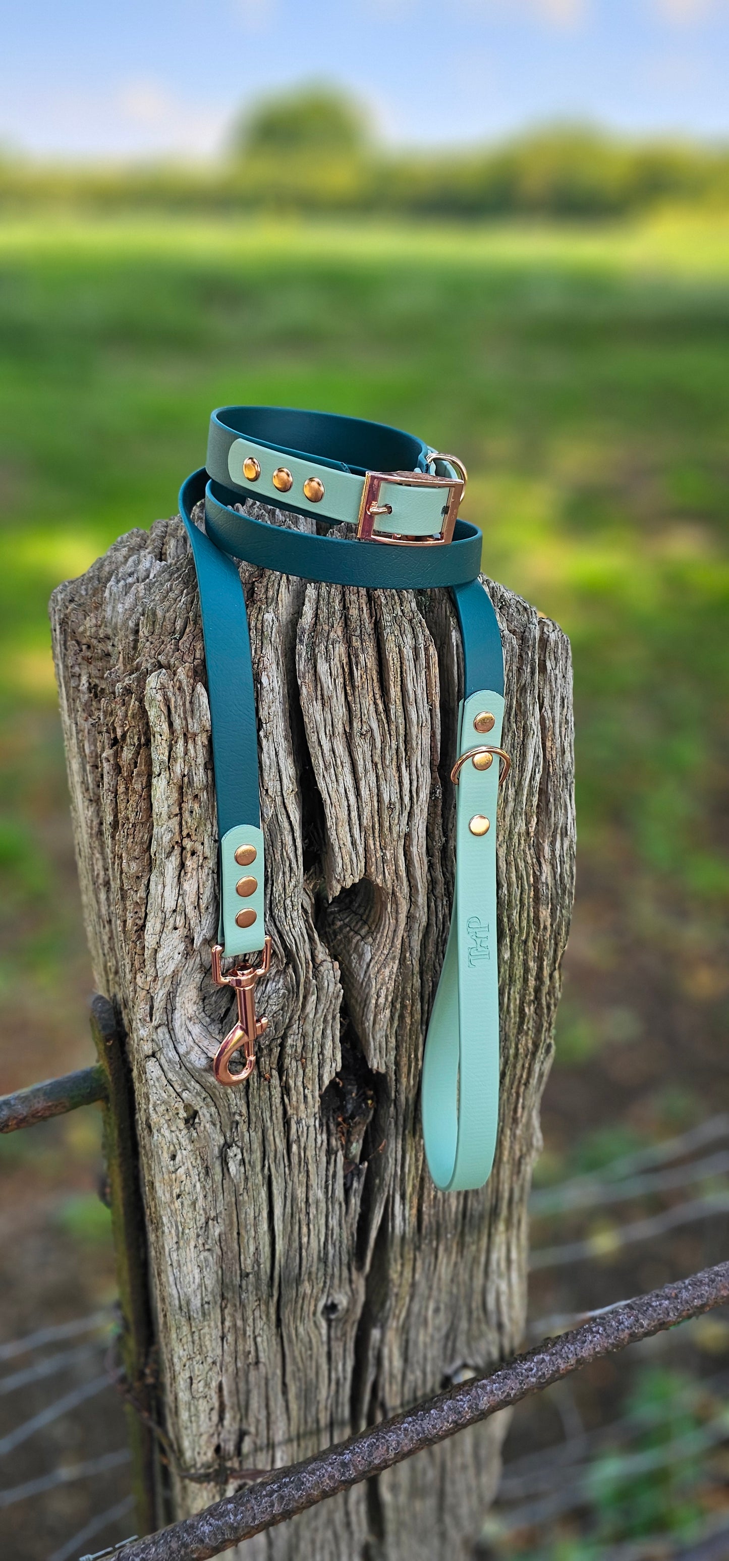 Dark Green & Sage - Waterproof BioThane© two-coloured Dog Collar