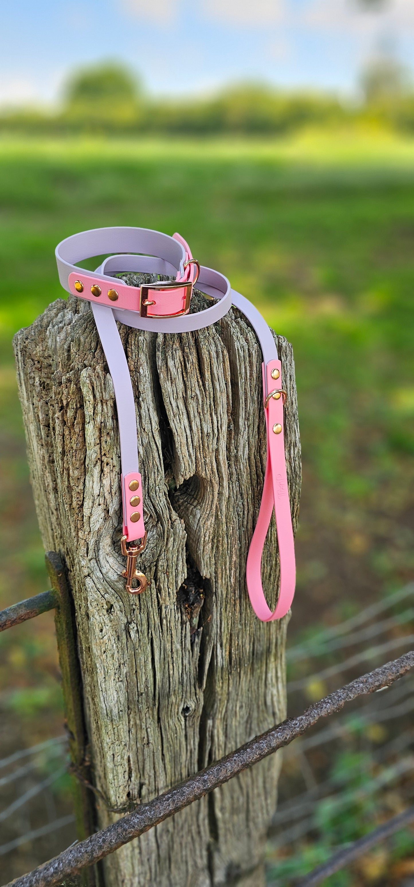 Lilac & Baby Pink - Waterproof Biothane® two-coloured Dog Lead
