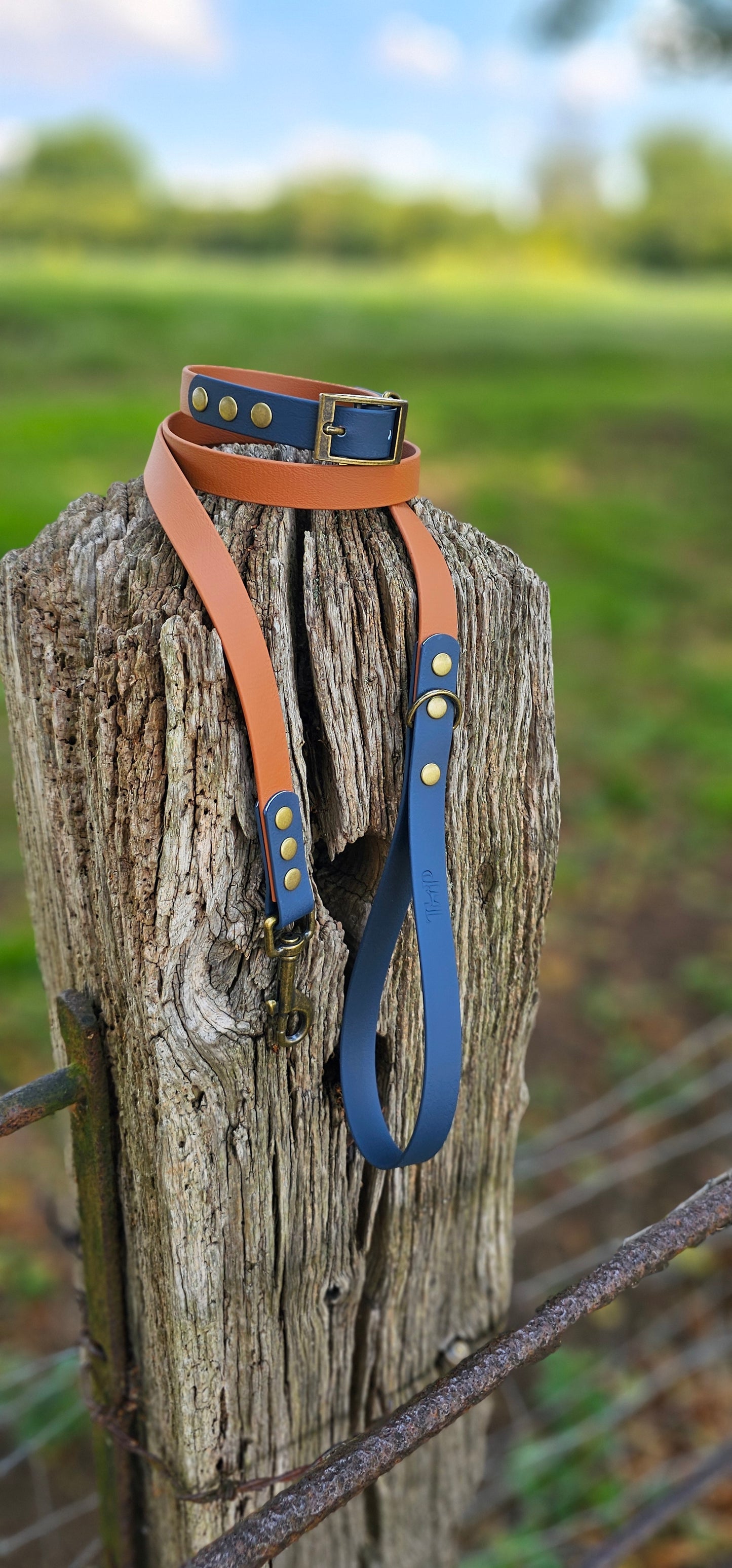 Tan & Navy - Waterproof BioThane© two-coloured Dog Collar