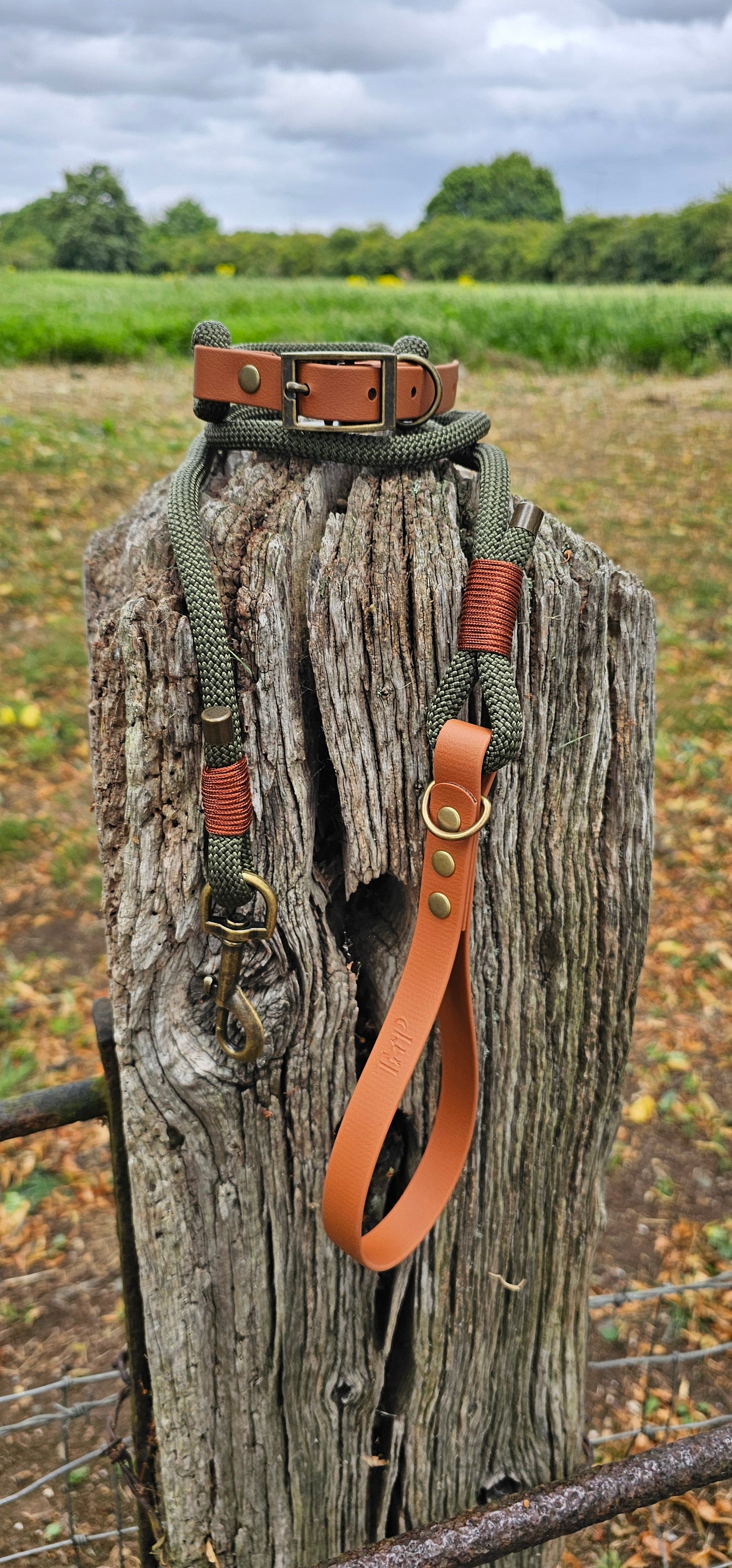 ARMY GREEN & TAN - Classic Rope BioThane® Dog Lead