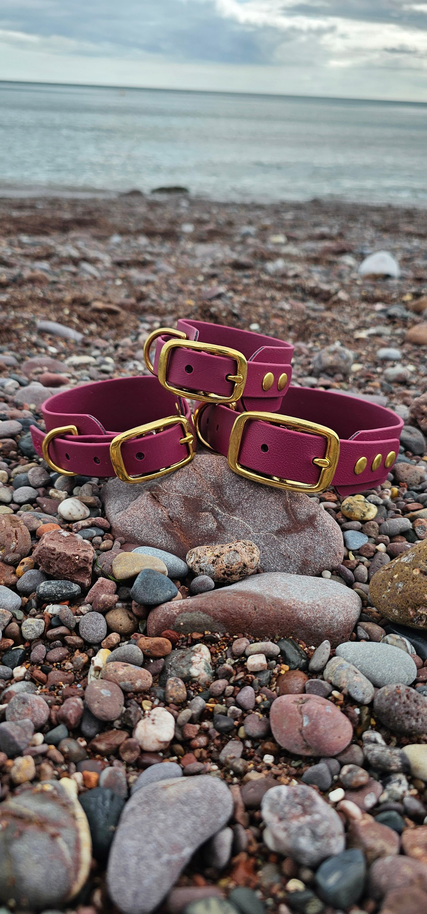 Everlast - Waterproof BioThane® Sighthound Collar