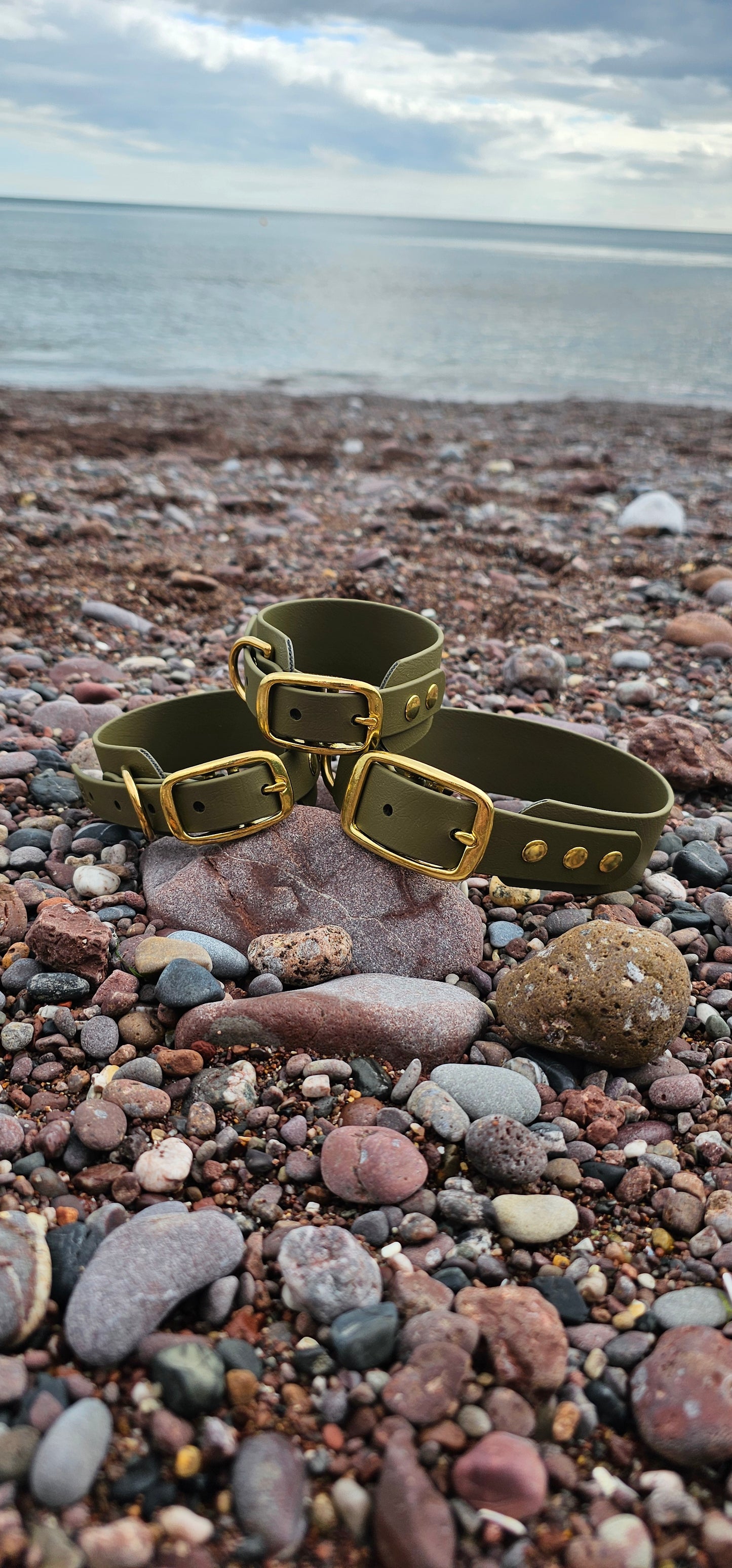 Everlast - Waterproof BioThane® Sighthound Collar