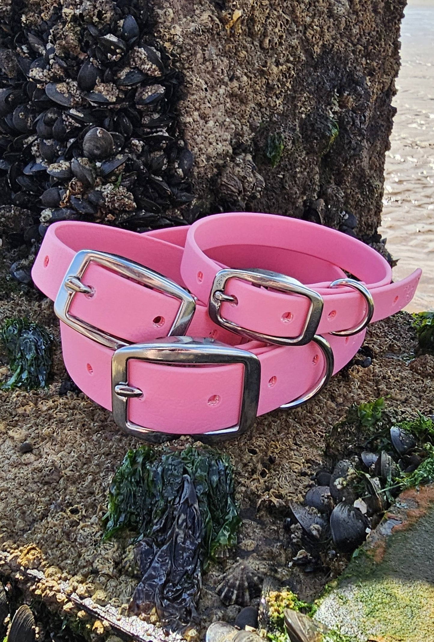 Baby Pink - Waterproof BioThane© Dog Collar