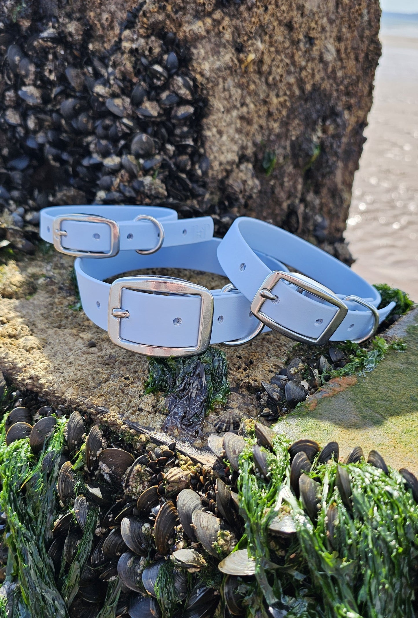 Pastel Blue - Waterproof BioThane© Dog Collar