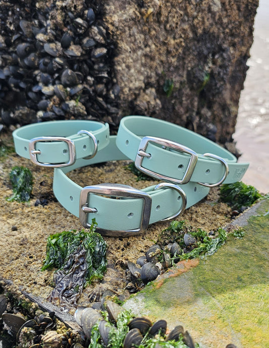 Sage - Waterproof BioThane© Dog Collar