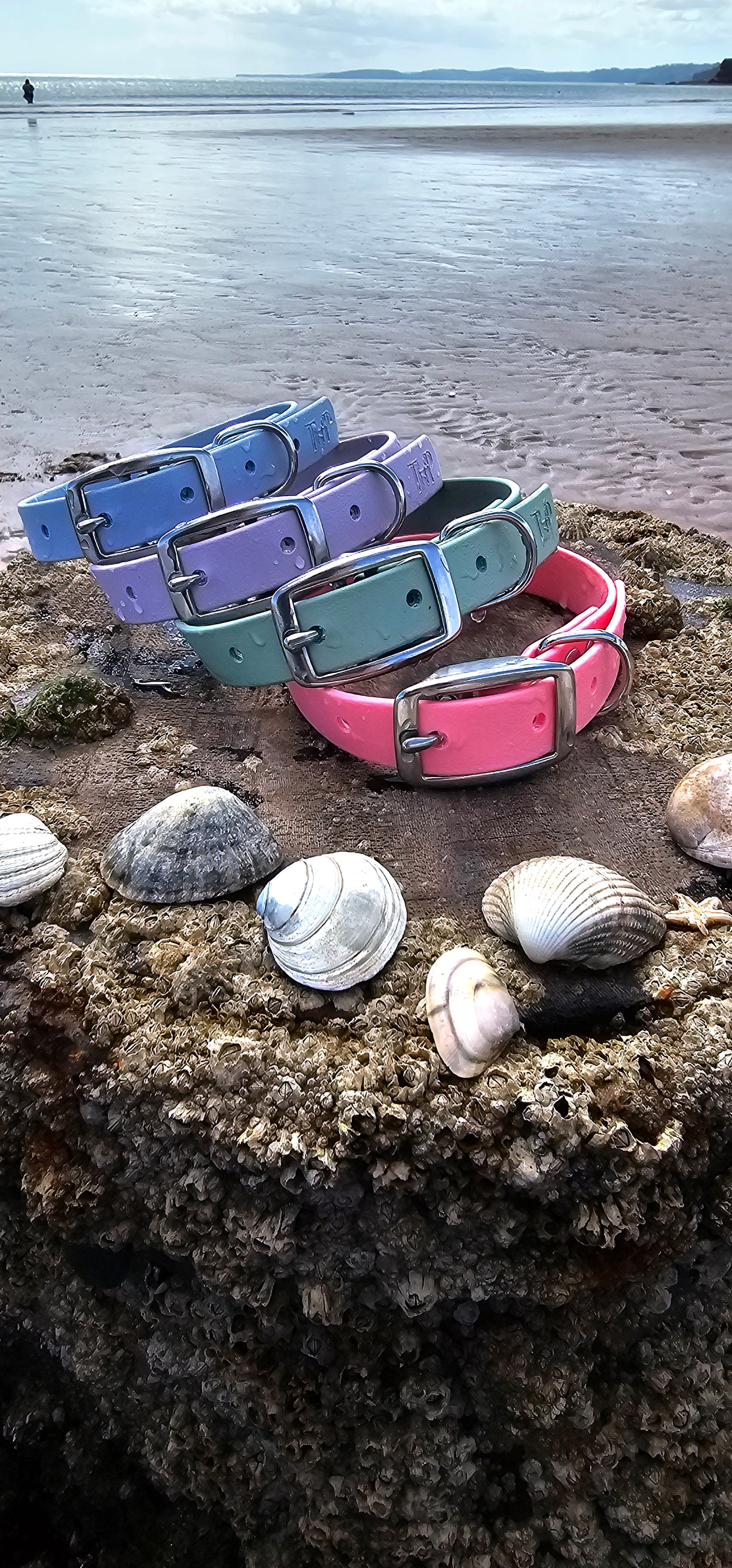 Everlast - Waterproof BioThane® Dog Collars