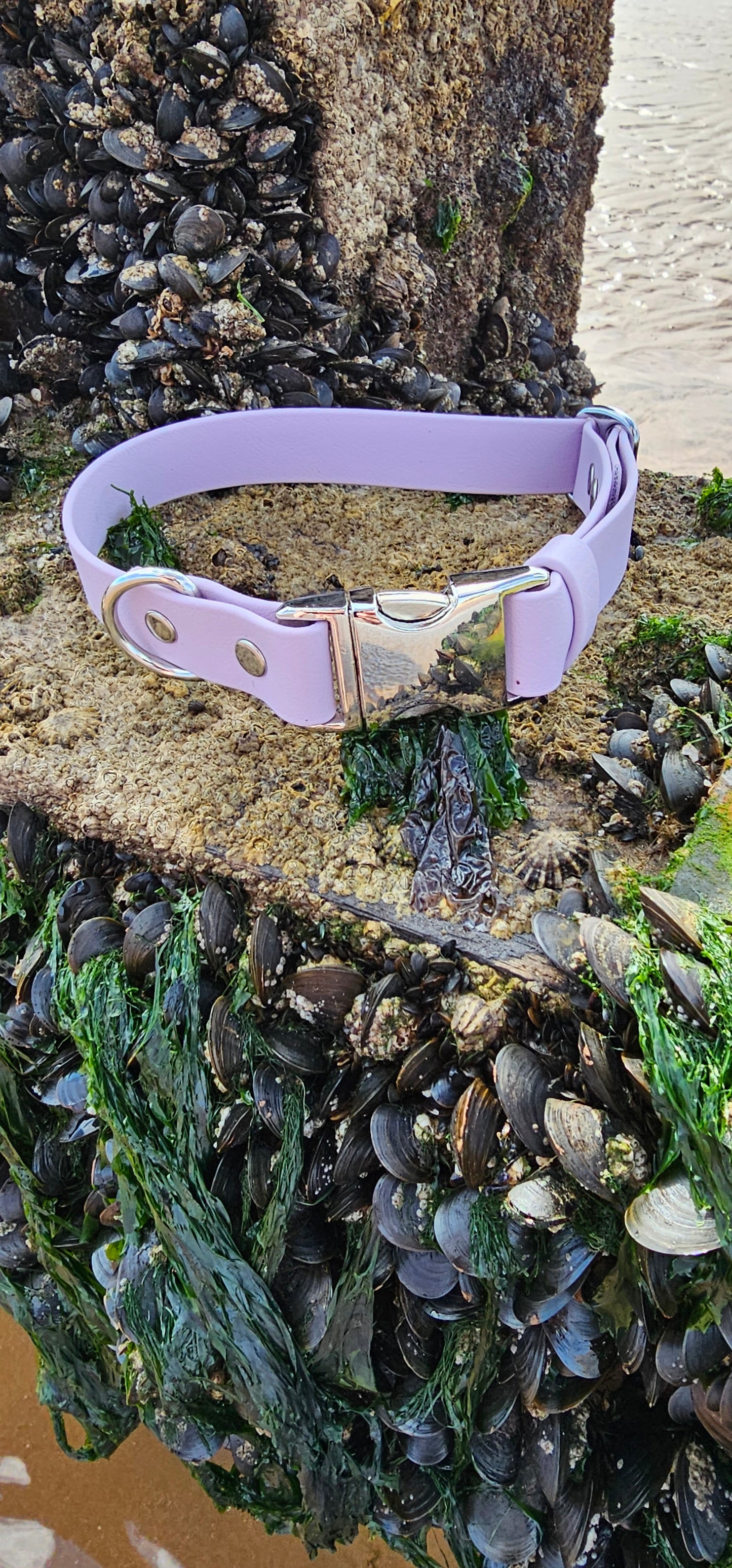 Everlast - Waterproof BioThane® Fast Release Dog Collar