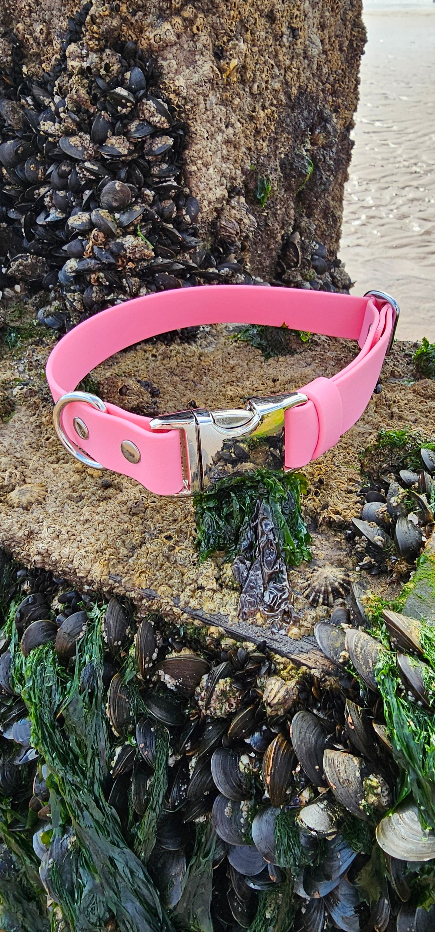 Everlast - Waterproof BioThane® Fast Release Dog Collar
